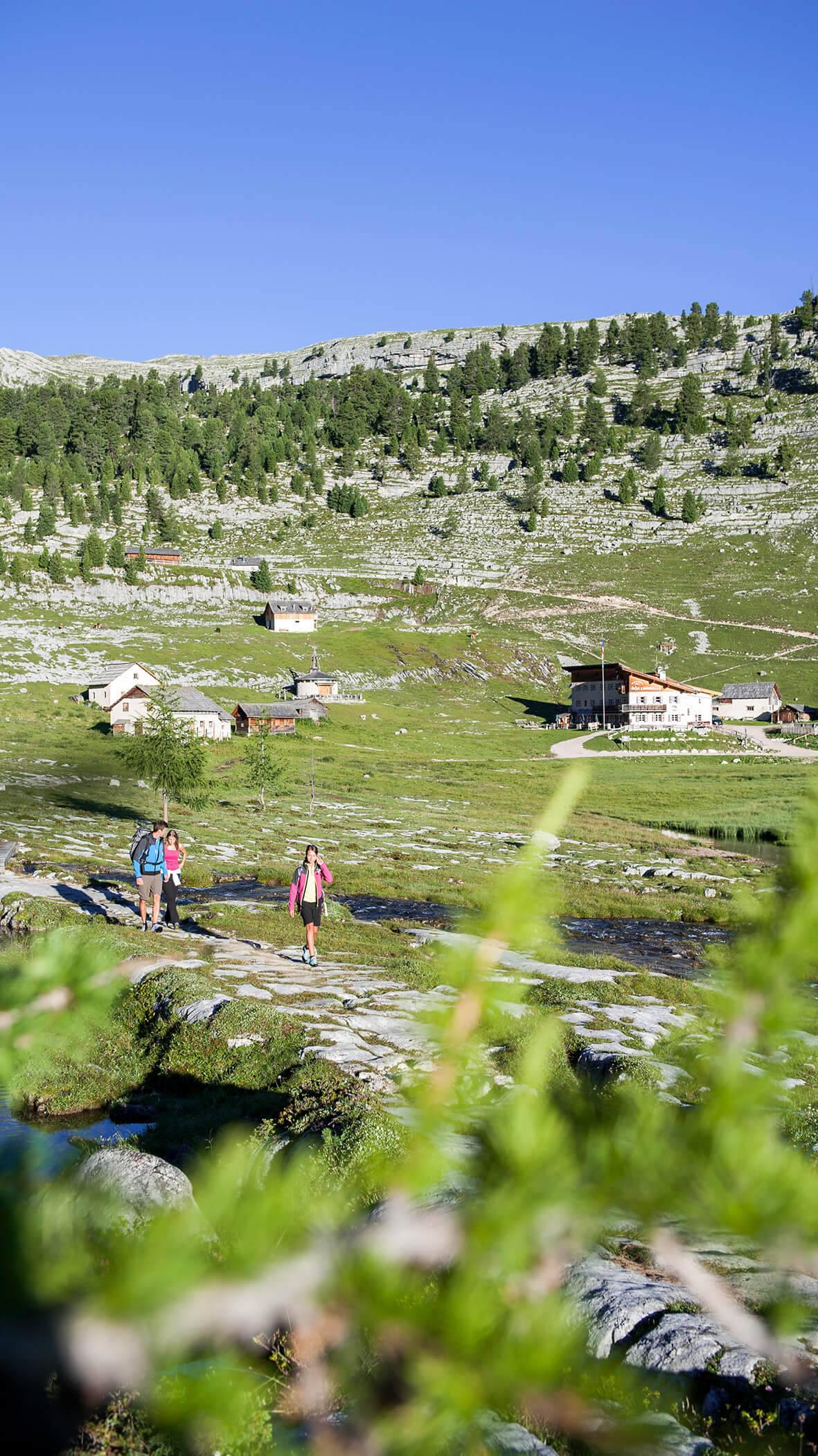 Drei Wanderer inmitten einer Berglandschaft und im Hintergrund verschiedene Almhütten - Bad Bergfallerhof